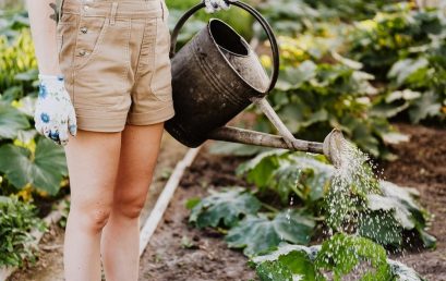 Trommeln und Gartenarbeit als ausgleichende Hobbys