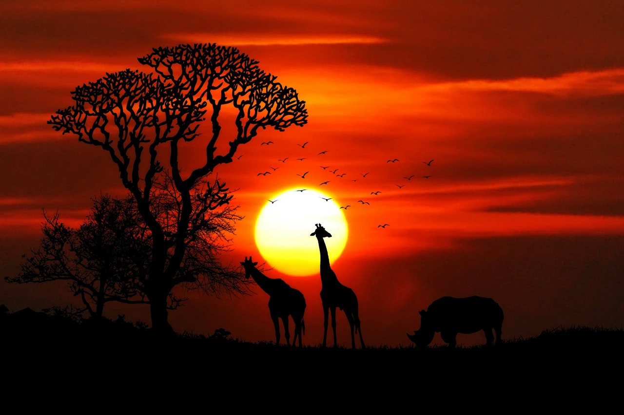 Afrika
